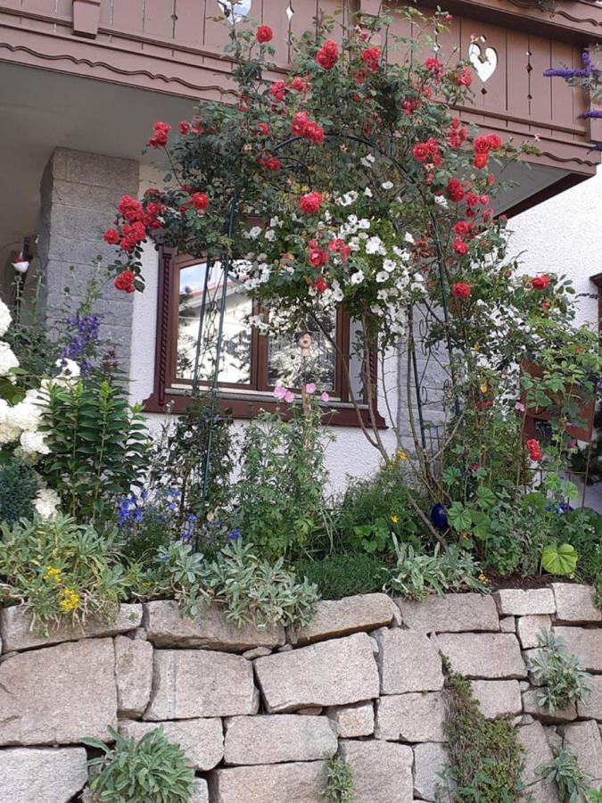Ferienwohnung Arberblick Lam Eksteriør bilde